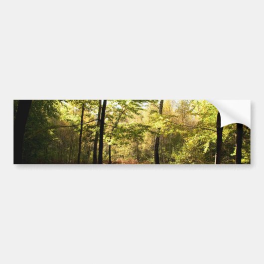 Autocollant De Voiture Vitrage de forêt (Devant)