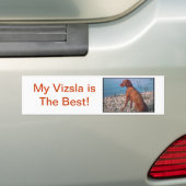 Autocollant De Voiture Vizsla (En voiture)