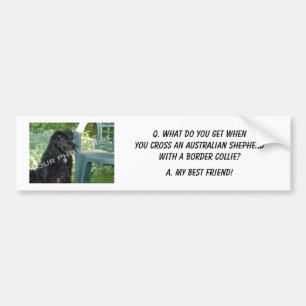 Autocollant De Voiture Votre photo ! Mon mélange australien de berger de