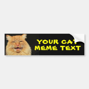 Autocollant De Voiture Votre texte de Meme de chat