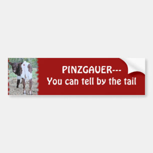 Autocollant De Voiture Vous pouvez dire la bumpersticker-personnaliser
