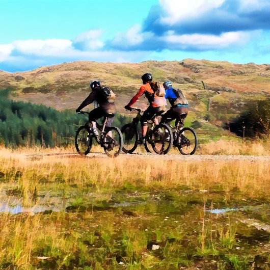 AUTOCOLLANT DE VOITURE VTT