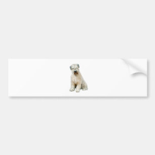 Autocollant De Voiture Wheaten Terrier (C)
