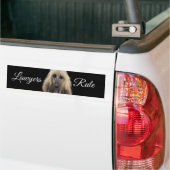 Autocollant De Voiture White Afghan Hound (Sur camion)