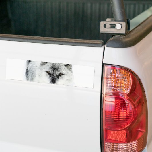 Autocollant De Voiture Wolf Eyes (Sur camion)