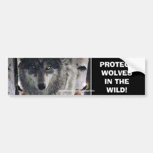 Autocollant De Voiture WOLF EYES Wildlife Conservation Bumper sticker