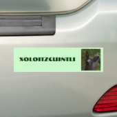 Autocollant De Voiture Xoloitzcuintli (En voiture)