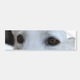 Autocollant De Voiture yeux blancs de berger allemand