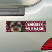 AUTOCOLLANT DE VOITURE YORKIE (En voiture)