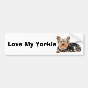 Autocollant De Voiture Yorkshire Terrier