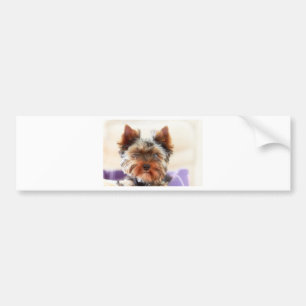 Autocollant De Voiture Yorkshire Terrier