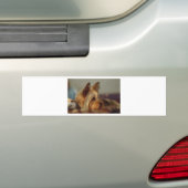 Autocollant De Voiture Yorkshire Terrier (En voiture)