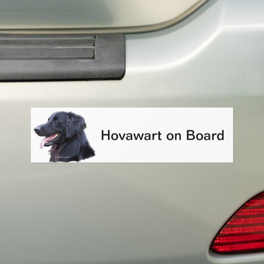 Autocollant De Voiture zwart de hovawart (En voiture)