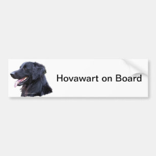 Autocollant De Voiture zwart de hovawart