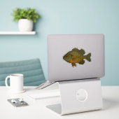 Autocollant découpé Bluegill (Ordinateur portable sur le bureau)