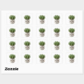 Autocollant découpé pour pot de succulente mignon  (Feuille)