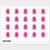 Autocollant d'enveloppe rose Gerber Daisy (Feuille)