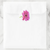 Autocollant d'enveloppe rose Gerber Daisy (Sac)
