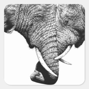 Autocollant des éléphants africains