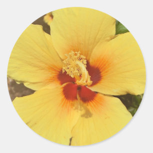 Autocollant d'hibiscus jaune