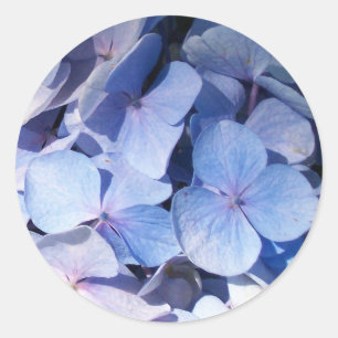 Autocollant d'hortensia
