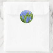 Autocollant d'Hyacinthes de raisin (Sac)
