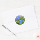 Autocollant d'Hyacinthes de raisin (Enveloppe)
