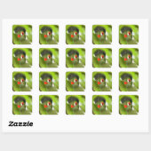 Autocollant d'oiseau vert tropical (Feuille)
