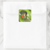 Autocollant d'oiseau vert tropical (Sac)