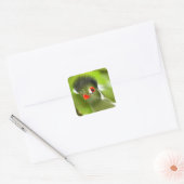 Autocollant d'oiseau vert tropical (Enveloppe)