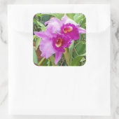 Autocollant d'orchidées de Cattleya violet (Sac)