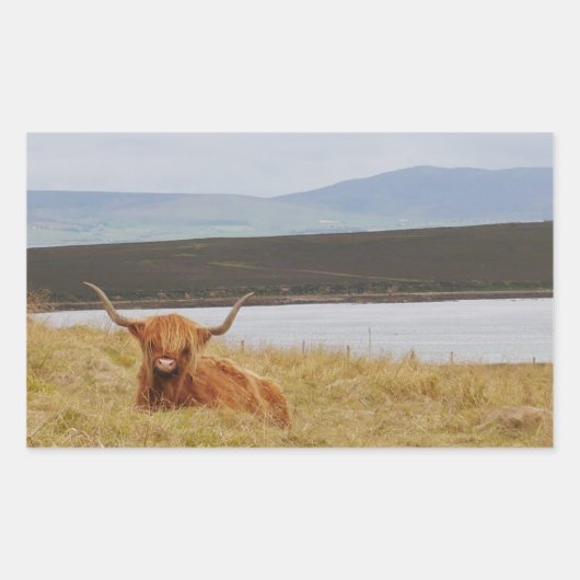 Autocollant d'orkney de vache Highland (Devant)