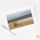 Autocollant d'orkney de vache Highland (Enveloppe)