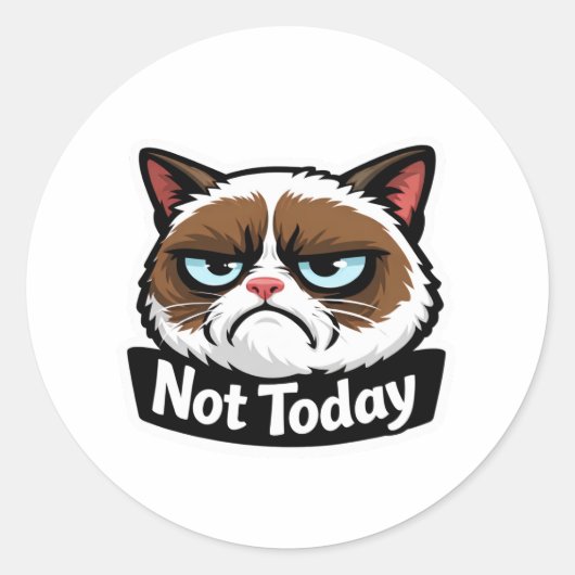 Autocollant drôle de visage de chat grincheux "Pas (Devant)