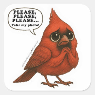 Autocollant drôle d'oiseau cardinal, s'il vous pla