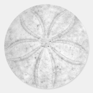 Autocollant du dollar de sable