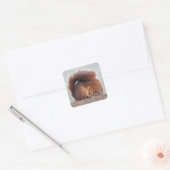 Autocollant Écureuil de Yoga (Enveloppe)