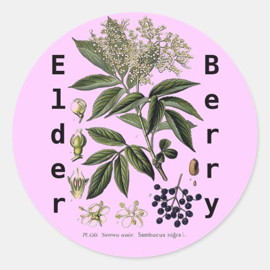 Autocollant Elderberry Sambucus (Devant)