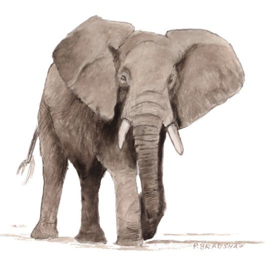Autocollant Éléphant