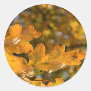 Autocollant en chêne Feuille d'automne