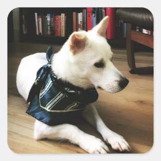 Autocollant Eno de bibliothèque