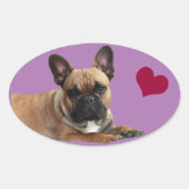 Autocollant Étiquette Bouledogue français (Devant)