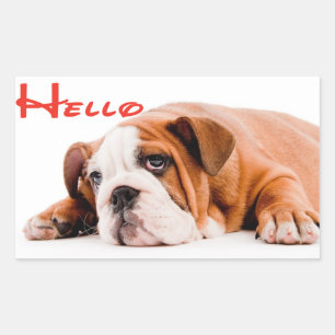 Autocollant / Étiquette de chiot bouledogue anglai