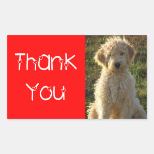 Autocollant / Étiquette de chiot Goldendoodle Merc