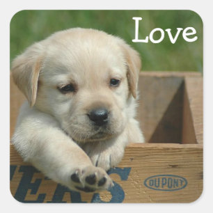 Autocollant / Étiquette de chiot Labrador Retrieve
