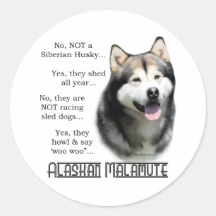 Autocollant FAQ Malamute d'Alaska