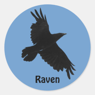 Autocollant faune de Black Raven Birdlover