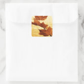 Autocollant feuille d'érable (Sac)