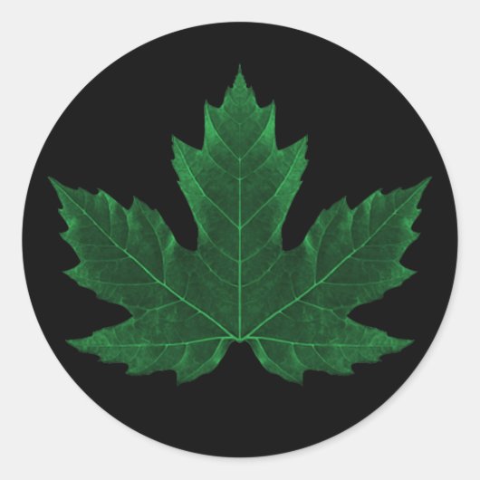Autocollant Feuille d'érable verte (Devant)