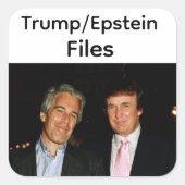 Autocollant Fichiers Trump/Epstein (Devant)